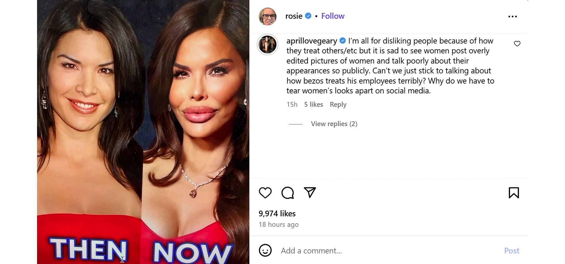 April Love Geary's comment (Image via Instagram/ @rosie)